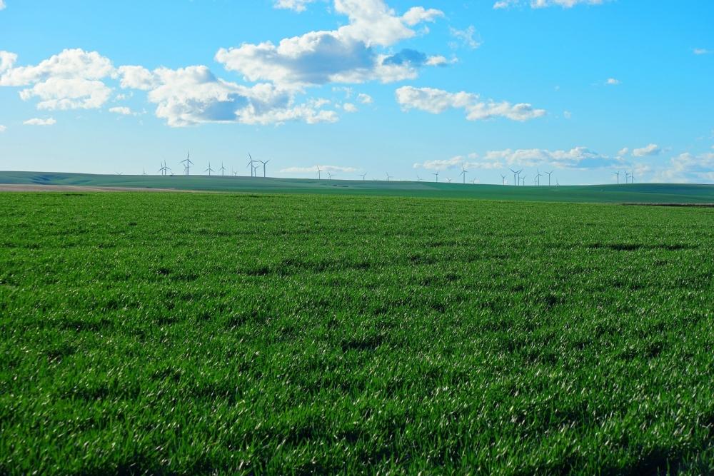 candriam-green-metals-metalen-noodzakelijk-voor-omschakeling-naar-duurzame-energie_1_yQ6xmJ.jpg